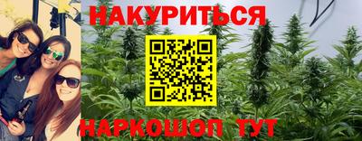 мяу мяу мука Ярославль
