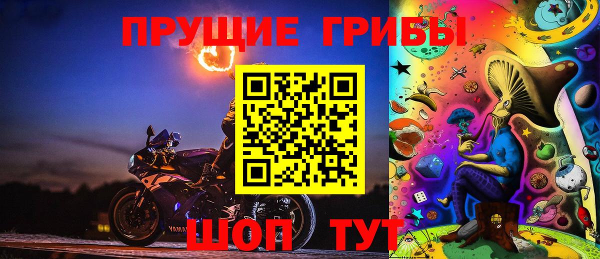 Псилоцибиновые грибы Cubensis  Вход с VPN  Большой Камень 