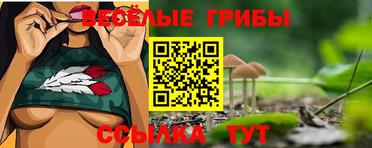 Галлюциногенные грибы прущие грибы Большой Камень